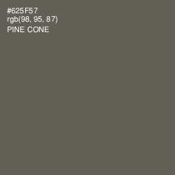 #625F57 - Pine Cone Color Image