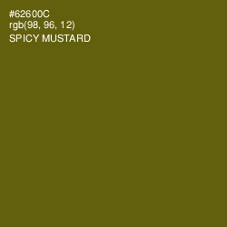 #62600C - Spicy Mustard Color Image