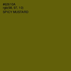 #62610A - Spicy Mustard Color Image