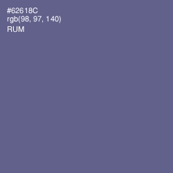 #62618C - Rum Color Image
