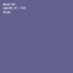 #62618F - Rum Color Image