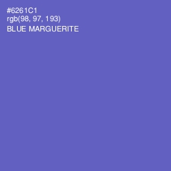 #6261C1 - Blue Marguerite Color Image