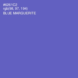 #6261C2 - Blue Marguerite Color Image