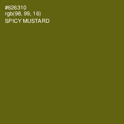 #626310 - Spicy Mustard Color Image