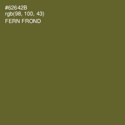 #62642B - Fern Frond Color Image