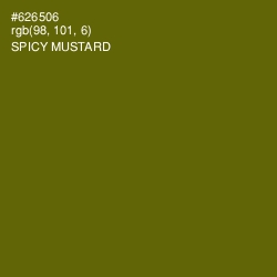 #626506 - Spicy Mustard Color Image
