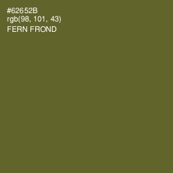 #62652B - Fern Frond Color Image