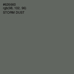 #626660 - Storm Dust Color Image