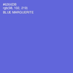 #6266DB - Blue Marguerite Color Image