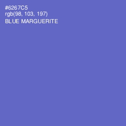 #6267C5 - Blue Marguerite Color Image