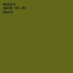 #626819 - Olivetone Color Image