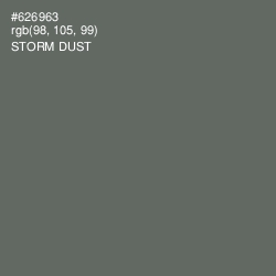 #626963 - Storm Dust Color Image