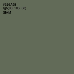 #626A58 - Siam Color Image