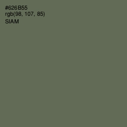 #626B55 - Siam Color Image