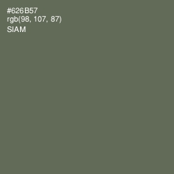 #626B57 - Siam Color Image