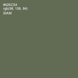 #626C54 - Siam Color Image