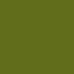 #626D1B - Olivetone Color Image