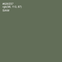 #626E57 - Siam Color Image