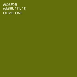 #626F0B - Olivetone Color Image