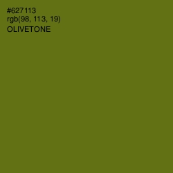 #627113 - Olivetone Color Image