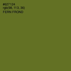 #627124 - Fern Frond Color Image