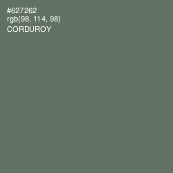 #627262 - Corduroy Color Image