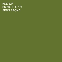 #62732F - Fern Frond Color Image