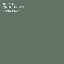 #627466 - Corduroy Color Image