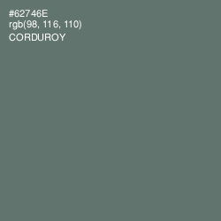 #62746E - Corduroy Color Image