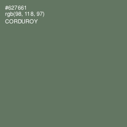 #627661 - Corduroy Color Image