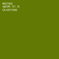 #627903 - Olivetone Color Image