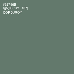 #62796B - Corduroy Color Image