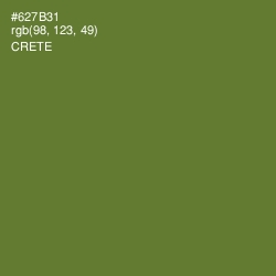 #627B31 - Crete Color Image