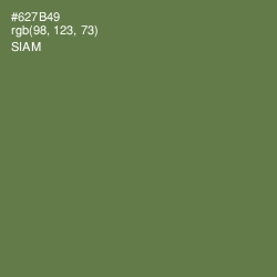 #627B49 - Siam Color Image