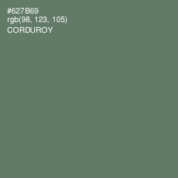 #627B69 - Corduroy Color Image