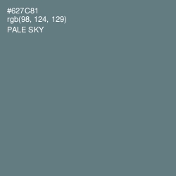 #627C81 - Pale Sky Color Image