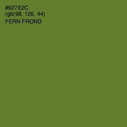 #627E2C - Fern Frond Color Image