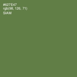 #627E47 - Siam Color Image