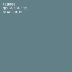 #628088 - Slate Gray Color Image