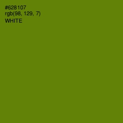 #628107 - Limeade Color Image