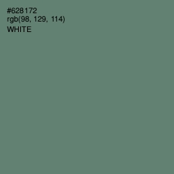 #628172 - Viridian Green Color Image