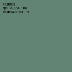 #628573 - Viridian Green Color Image