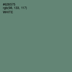 #628575 - Viridian Green Color Image