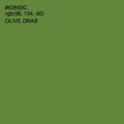 #62863C - Olive Drab Color Image