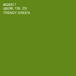 #628817 - Trendy Green Color Image