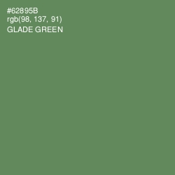 #62895B - Glade Green Color Image