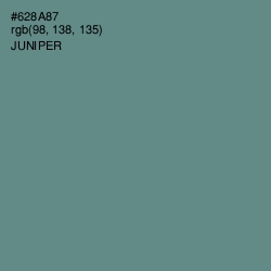 #628A87 - Juniper Color Image