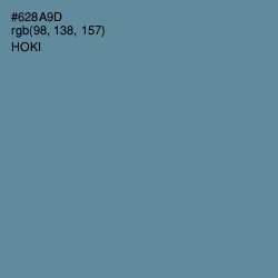 #628A9D - Hoki Color Image