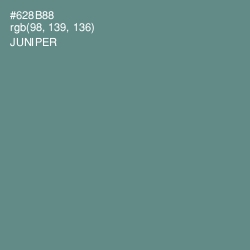 #628B88 - Juniper Color Image