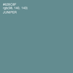 #628C8F - Juniper Color Image